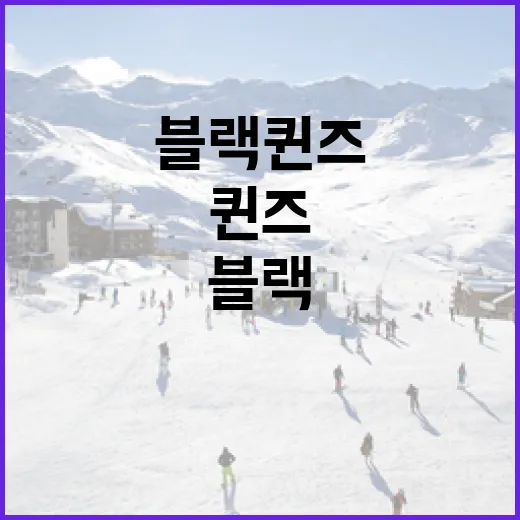 블랙퀸즈의 압도적 성장세를 이해하는 방법 - 요약