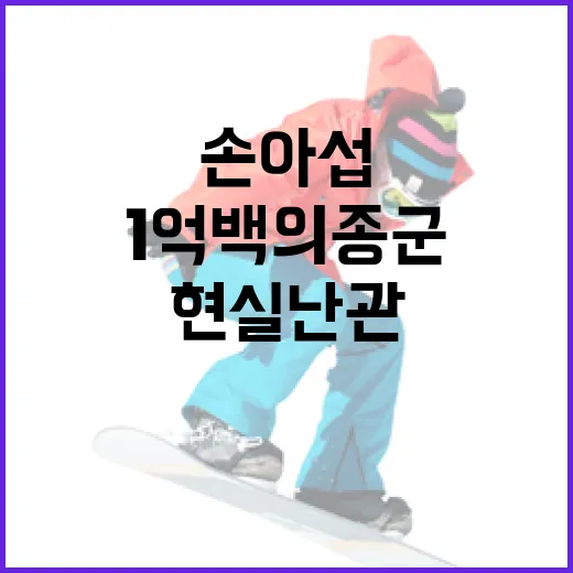 손아섭의 1억 백의종군 도전에 직면한 현실 난관을 극복하는 방법 - 요약