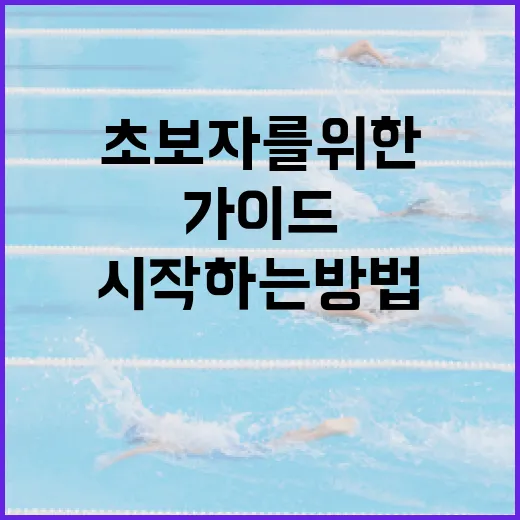 불꽃야구를 시작하는 방법: 초보자를 위한 가이드 - 요약