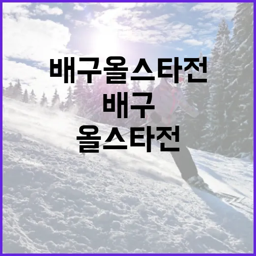 배구 올스타전을 즐기는 방법: 매력적인 경기의 모든 것 - 요약