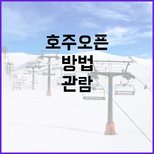 호주오픈에서 성공적으로 경기를 관람하는 방법 - 요약