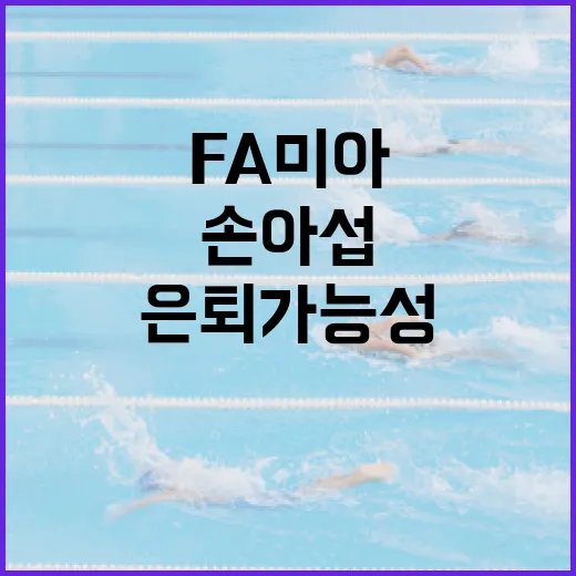 한화 손아섭의 FA 미아와 은퇴 가능성에 대해 알아보는 방법 - 요약