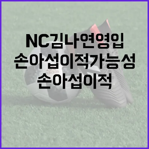 NC 김나연 영입과 손아섭 이적 가능성을 알아보는 방법 - 요약