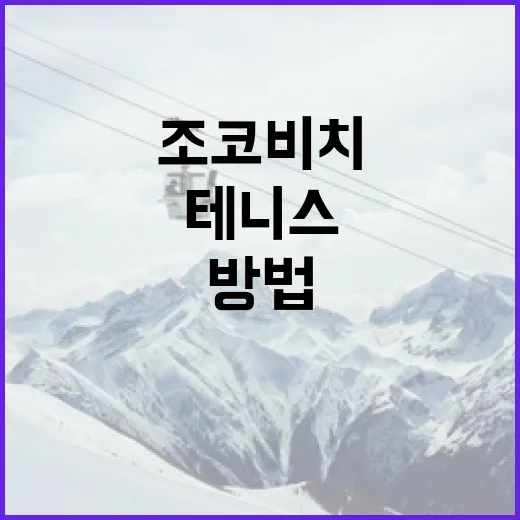 조코비치처럼 테니스 실력을 향상시키는 방법 - 요약