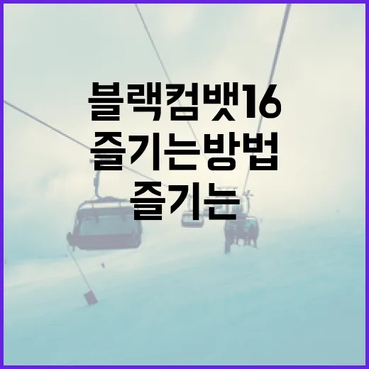 블랙컴뱃16을 즐기는 방법: 초보자를 위한 가이드 - 요약