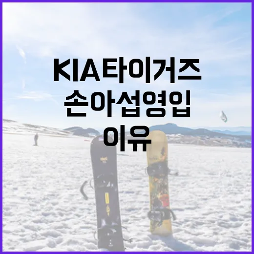 KIA 타이거즈가 손아섭 영입을 부인한 이유와 그 의미 - 요약