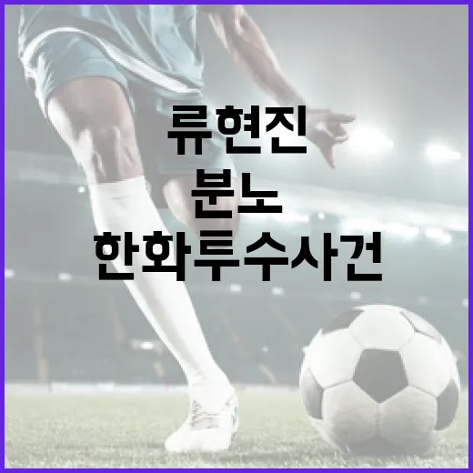 류현진의 분노를 자아낸 한화 투수 사건: 배경과 교훈 - 요약