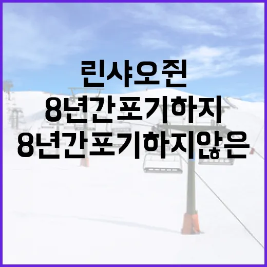 린샤오쥔이 8년간 포기하지 않은 방법 - 요약