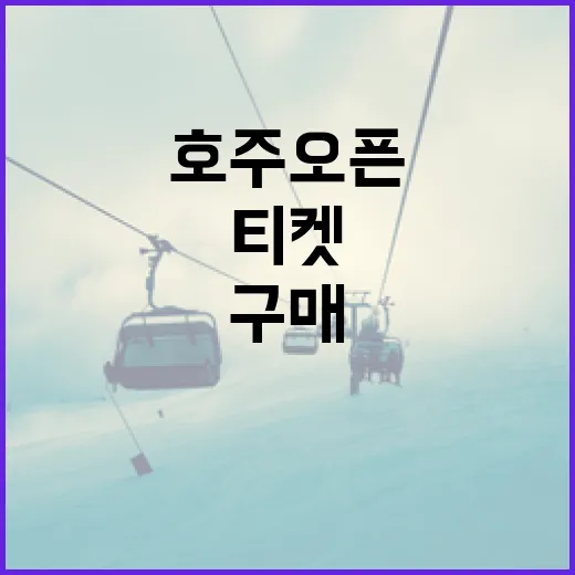 호주오픈에서 성공적으로 티켓을 구매하는 방법 - 요약