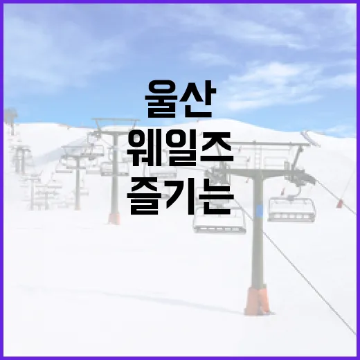 울산 웨일즈를 즐기는 방법: 해양 도시의 매력을 탐험해보세요 - 요약