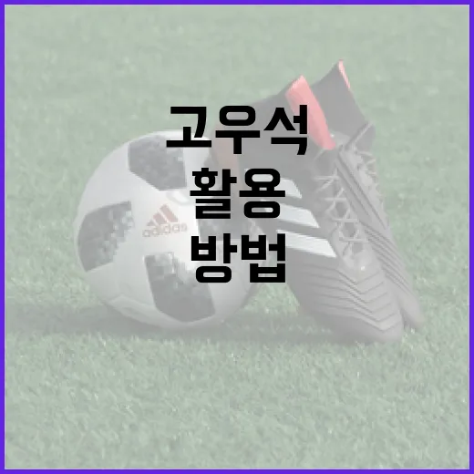 고우석을 이해하고 활용하는 방법 - 요약