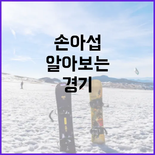 손아섭을 통해 알아보는 야구 경기의 매력 - 요약