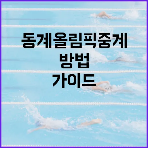 동계올림픽 중계를 즐기는 방법: 초보자를 위한 가이드 - 요약