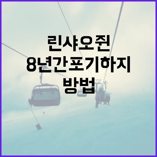 린샤오쥔처럼 8년간 포기하지 않고 목표를 이루는 방법 - 요약