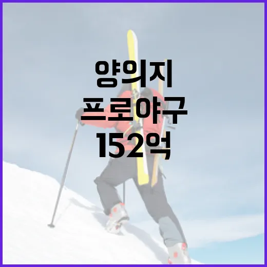 프로 야구에서 양의지 152억 영입 실패를 극복하는 방법 - 요약