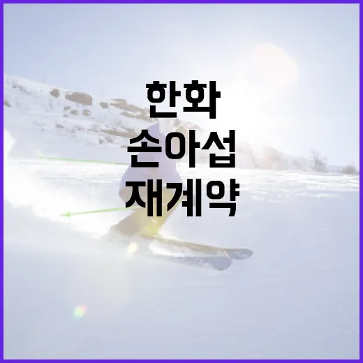 손아섭과 한화의 1억 1년 재계약을 이해하는 방법 - 요약