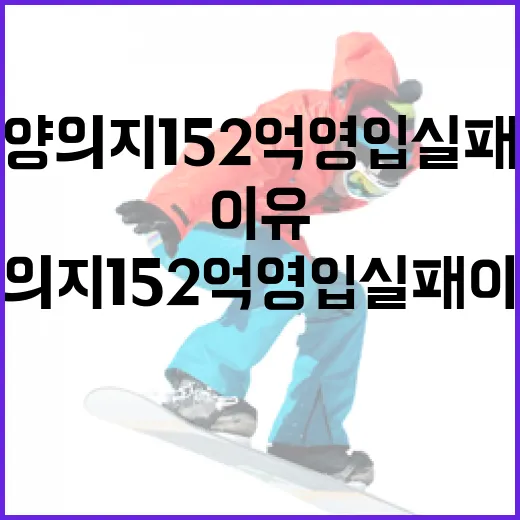 양의지 152억 영입 실패 이유와 대처 방법 - 요약