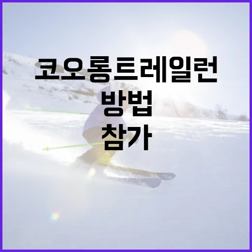 코오롱 트레일런에 참가하는 방법 - 요약