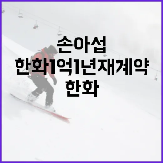 손아섭의 한화 1억 1년 재계약에 대해 알아보는 방법 - 요약