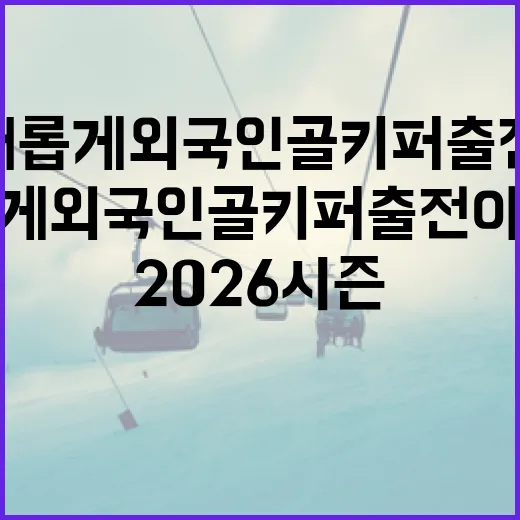 2026 시즌 새롭게 외국인 골키퍼 출전이 허용되어 외국인 골키퍼를 영입한 K리그 팀 알아보기 - 요약