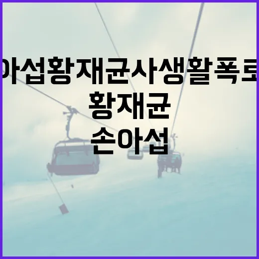 손아섭·황재균 사생활 폭로전에 대한 이해와 대처 방법 - 요약