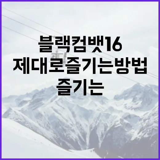 블랙컴뱃16을 제대로 즐기는 방법 - 요약