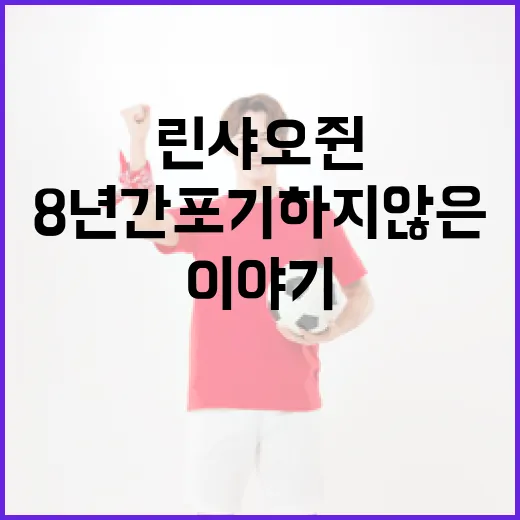 린샤오쥔의 끈기를 배우는 방법: 8년간 포기하지 않은 이야기 - 요약