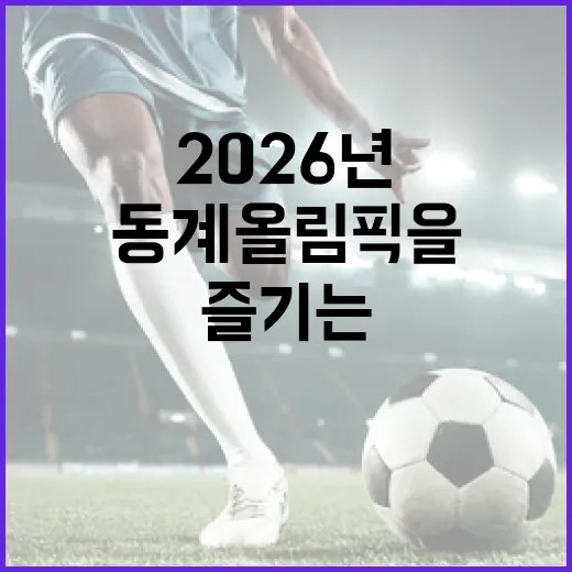 2026년 동계올림픽을 즐기는 방법