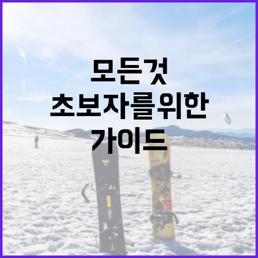 신지아에 대해 알아야 할 모든 것: 초보자를 위한 가이드 - 요약