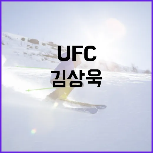 김상욱 UFC 전설이 되는 방법 - 요약
