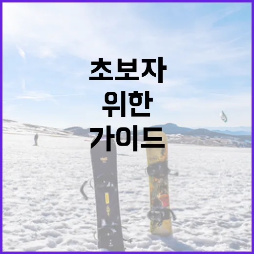 슈퍼볼을 즐기는 방법: 초보자를 위한 가이드 - 요약