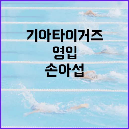 기아 타이거즈, 손아섭 영입 루머 부인을 위한 올바른 정보 얻는 방법 - 요약