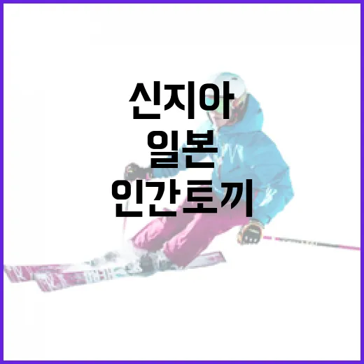 일본의 인간토끼 신지아에 대한 관심이 폭발하는 이유 - 요약