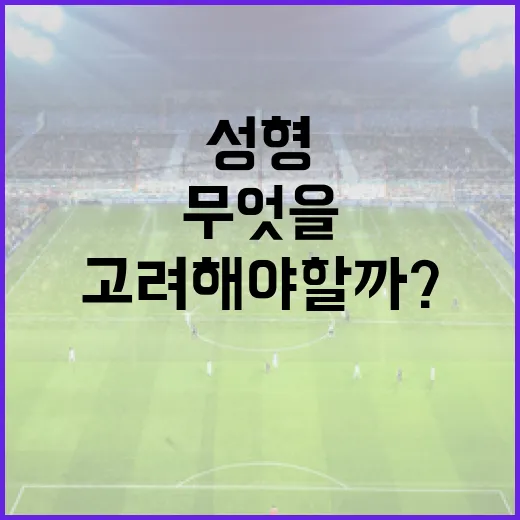 김민지 성형전, 무엇을 고려해야 할까? - 요약