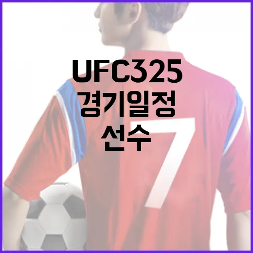 UFC 325를 준비하는 방법: 경기 일정부터 선수 분석까지 - 요약
