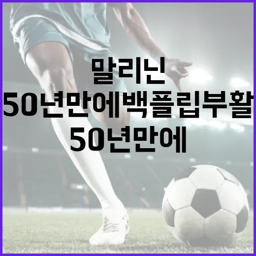 말리닌의 50년만에 백플립 부활 방법 - 요약