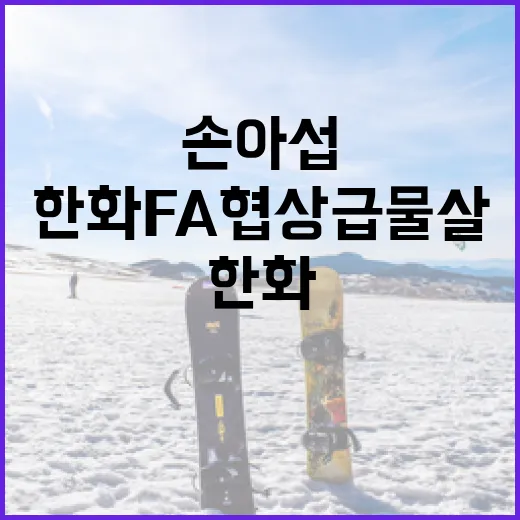 손아섭과 한화 FA…