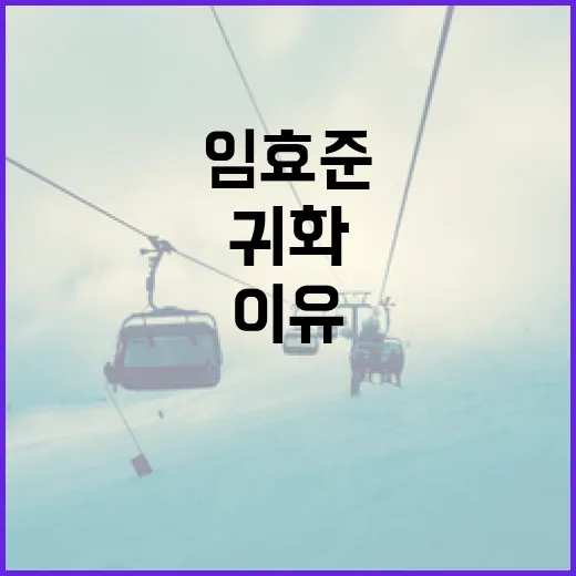 임효준이 귀화한 이유와 그 배경을 알아보는 방법 - 요약