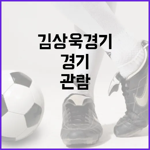 김상욱 경기에서 성공적으로 관람하는 방법 - 요약