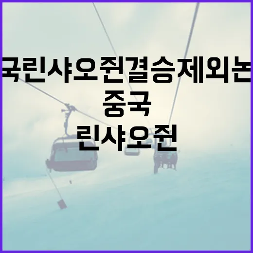 중국 린샤오쥔 결승 제외 논란 이해하기 - 요약