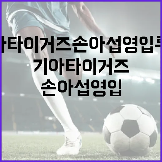 기아 타이거즈 손아섭 영입 루머에 대한 사실 확인 방법 - 요약