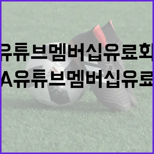 KIA 유튜브 멤버십 유료화 논란 이해하는 방법 - 요약