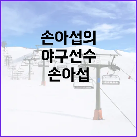 손아섭의 경력을 통해 배우는 성공적인 야구 선수 되는 방법 - 요약