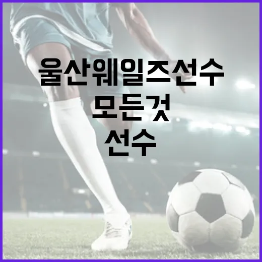 울산 웨일즈 선수에 대해 알아야 할 모든 것 - 요약