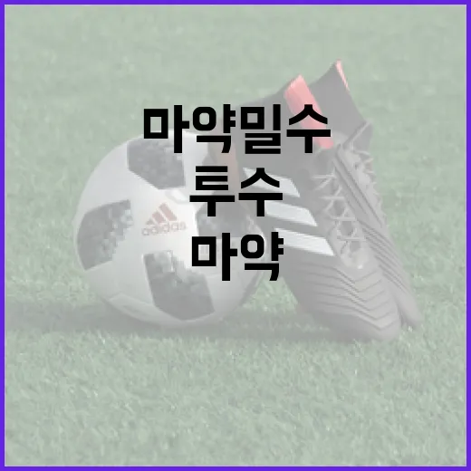 마약 밀수: 투수로서의 역할 이해하기 - 요약