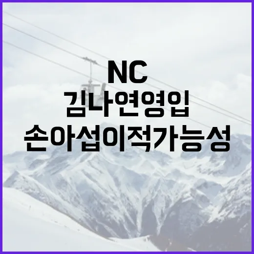 NC 다이노스, 김나연 영입과 손아섭 이적 가능성 탐색 방법 - 요약