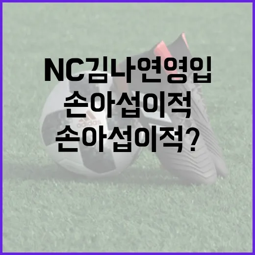 NC 김나연 영입에 손아섭 이적? 어떻게 봐야 할까 - 요약