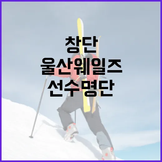 울산 웨일즈 창단 선수명단 살펴보기 - 요약