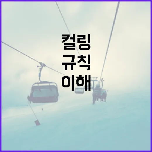 컬링의 규칙을 이해하는 방법 - 요약