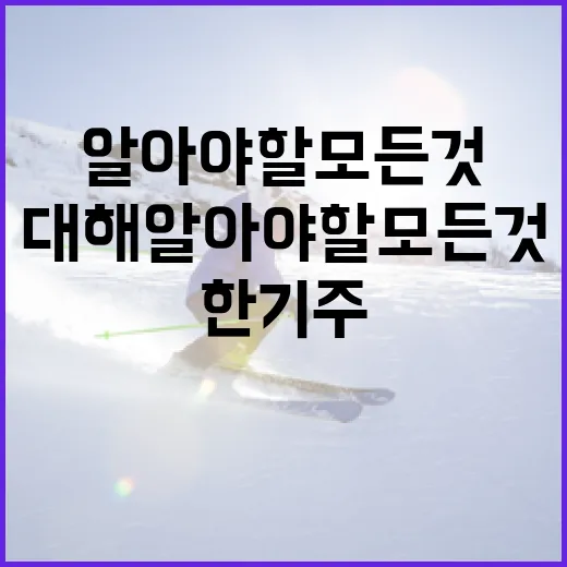 한기주에 대해 알아야 할 모든 것: 그의 삶과 업적 - 요약